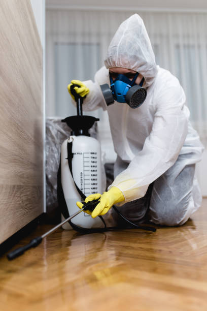 Best Bed Bug Extermination  in Kenilworth, NJ